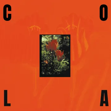 Cola, The Gloss