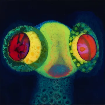 OSEES, “SORCS 80“